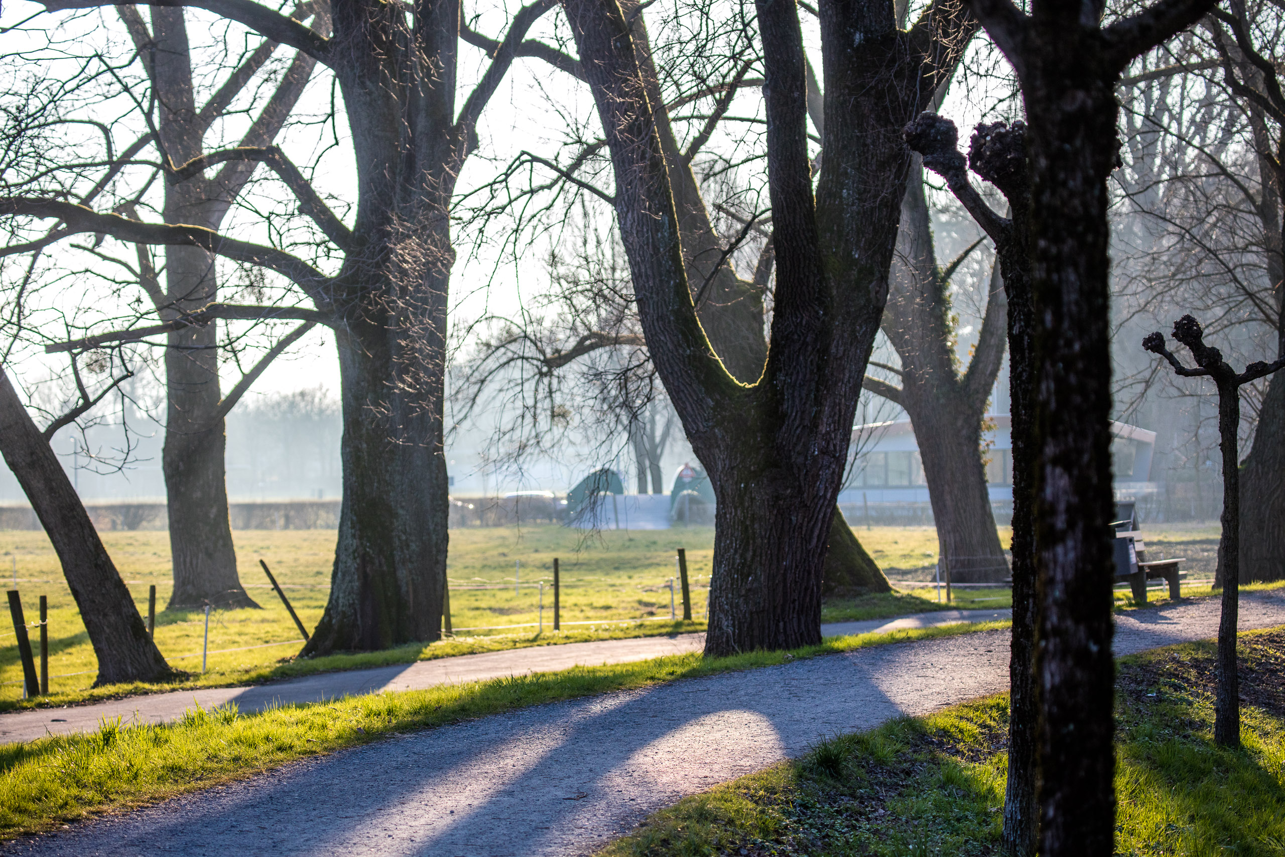 20160319173558 DP017816